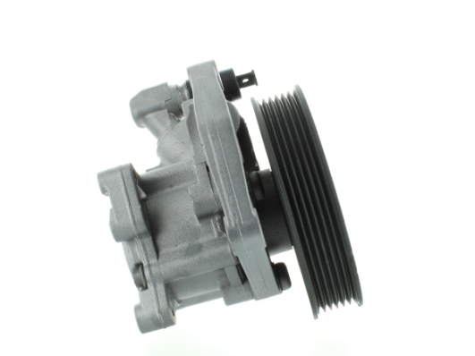 SPIDAN Hydraulikpumpe, styresystem 54587 for MERCEDES-BENZ