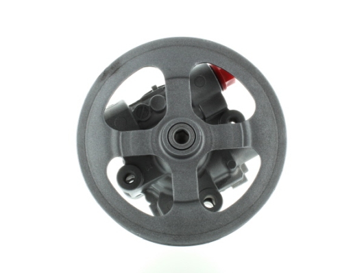 SPIDAN Hydraulikpumpe, styresystem 54793 for CHRYSLER CITROËN MITSUBISHI