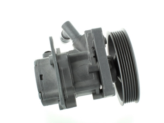 SPIDAN Hydraulikpumpe, styresystem 54132 for MERCEDES-BENZ
