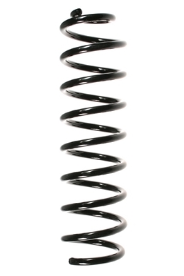 SPIDAN Fjeder 56173 bagaksel for RENAULT
