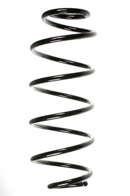 SPIDAN Fjeder 55589 foraksel for JAGUAR