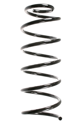 SPIDAN Fjeder 55757 foraksel for MERCEDES-BENZ