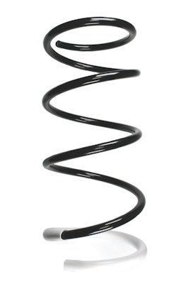 SPIDAN Fjeder 55877 foraksel for NISSAN