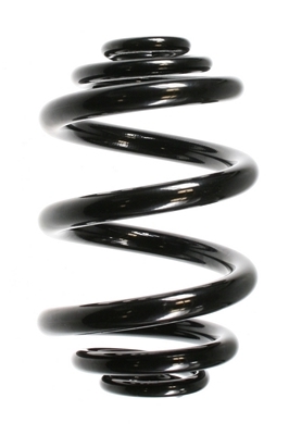 SPIDAN Fjeder 55711 bagaksel for MERCEDES-BENZ