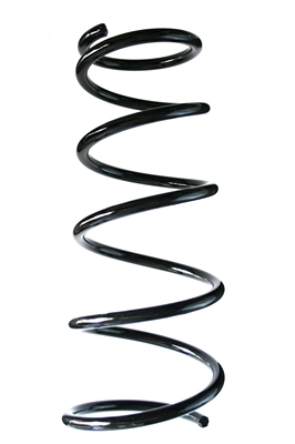 SPIDAN Fjeder 85555 foraksel for FIAT SUZUKI