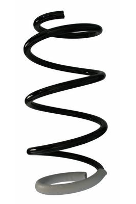 SPIDAN Fjeder 87858 foraksel for RENAULT