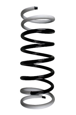SPIDAN Fjeder 49418 bagaksel for MERCEDES-BENZ