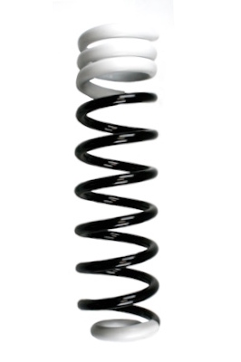 SPIDAN Fjeder 55752 bagaksel for MERCEDES-BENZ
