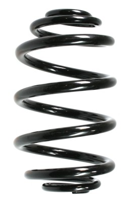 SPIDAN Fjeder 55073 bagaksel for RENAULT