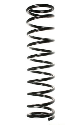 SPIDAN Fjeder 55760 foraksel for MERCEDES-BENZ