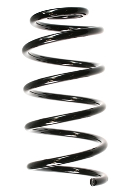 SPIDAN Fjeder 55756 foraksel for MERCEDES-BENZ