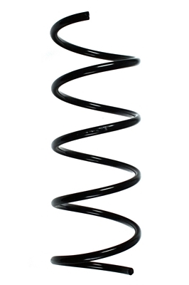 SPIDAN Fjeder 55755 foraksel for MERCEDES-BENZ