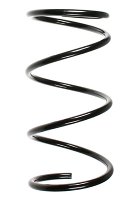 SPIDAN Fjeder 49310 foraksel for TOYOTA