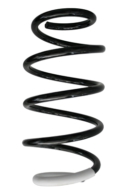 SPIDAN Fjeder 86651 foraksel for MERCEDES-BENZ