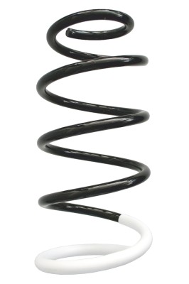 SPIDAN Fjeder 86709 foraksel for FIAT CITROËN/PEUGEOT
