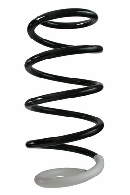 SPIDAN Fjeder 87225 foraksel for RENAULT