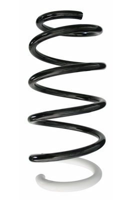 SPIDAN Fjeder 87226 foraksel for RENAULT