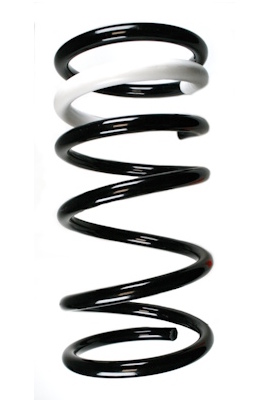 SPIDAN Fjeder 55324 foraksel for FORD