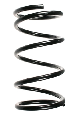 SPIDAN Fjeder 55349 foraksel for FORD