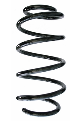 SPIDAN Fjeder 87649 foraksel for FORD