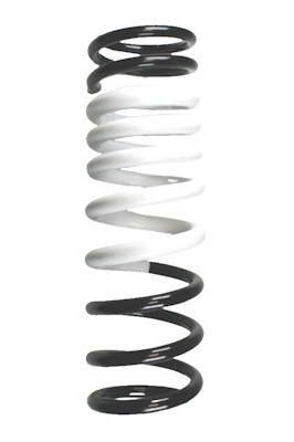 SPIDAN Fjeder 87789 bagaksel for FORD