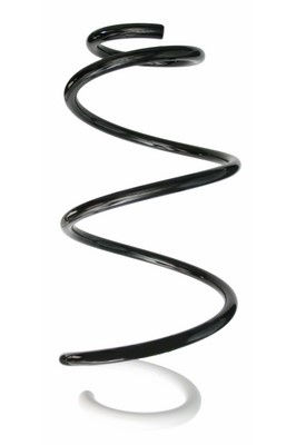 SPIDAN Fjeder 87871 foraksel for RENAULT