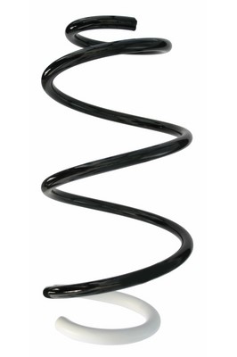 SPIDAN Fjeder 87874 foraksel for RENAULT