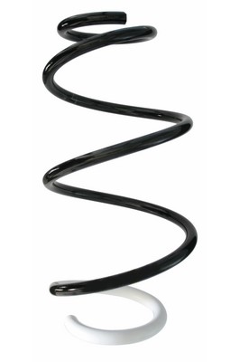 SPIDAN Fjeder 87877 foraksel for RENAULT
