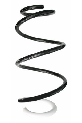 SPIDAN Fjeder 87873 foraksel for RENAULT