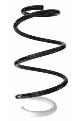 SPIDAN Fjeder 87876 foraksel for RENAULT