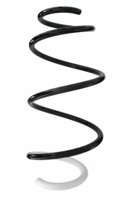 SPIDAN Fjeder 87878 foraksel for RENAULT
