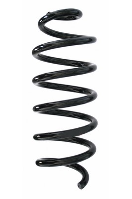 SPIDAN Fjeder 87880 bagaksel for RENAULT