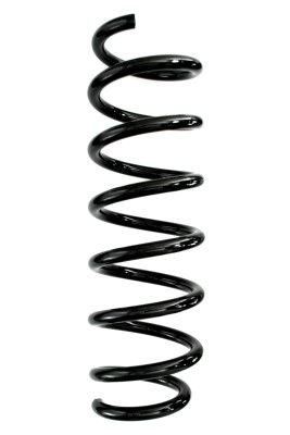 SPIDAN Fjeder 87976 foraksel for BMW