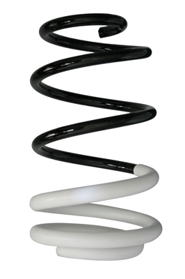SPIDAN Fjeder 88008 foraksel for RENAULT