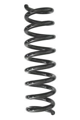 SPIDAN Fjeder 87935 bagaksel for BMW