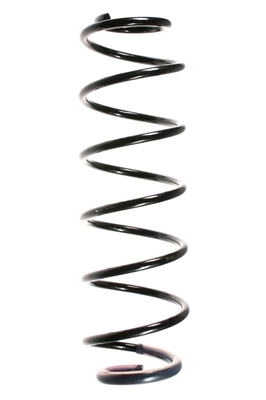 SPIDAN Fjeder 56780 bagaksel for RENAULT