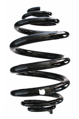 SPIDAN Fjeder 49146 bagaksel for VW