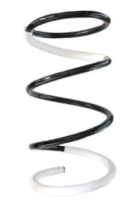 SPIDAN Fjeder 55452 foraksel for HONDA