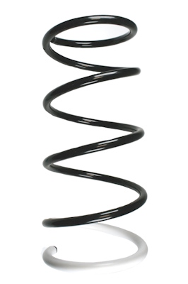 SPIDAN Fjeder 55878 foraksel for NISSAN