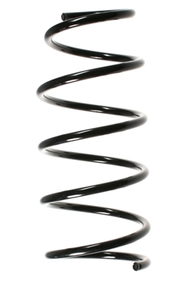 SPIDAN Fjeder 48529 foraksel for RENAULT