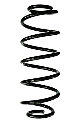 SPIDAN Fjeder 88173 bagaksel for FORD