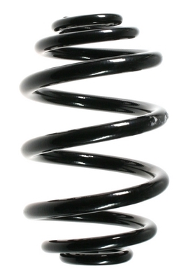 SPIDAN Fjeder 55119 bagaksel for BMW