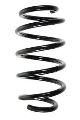 SPIDAN Fjeder 85018 bagaksel for RENAULT