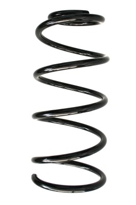SPIDAN Fjeder 85054 foraksel for FORD