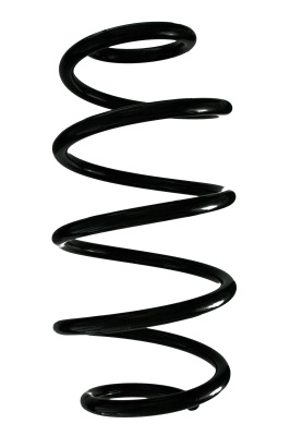 SPIDAN Fjeder 88305 foraksel for FORD