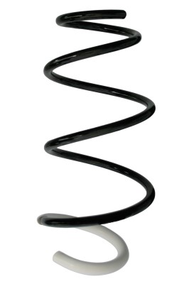 SPIDAN Fjeder 88325 foraksel for RENAULT