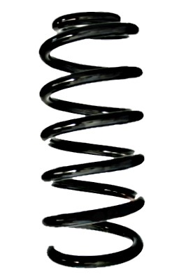 SPIDAN Fjeder 88326 bagaksel for RENAULT
