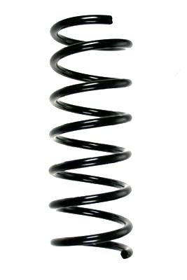 SPIDAN Fjeder 85881 bagaksel for FORD