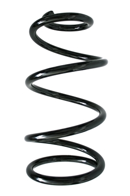 SPIDAN Fjeder 85903 foraksel for FORD
