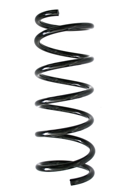 SPIDAN Fjeder 85894 bagaksel for FORD